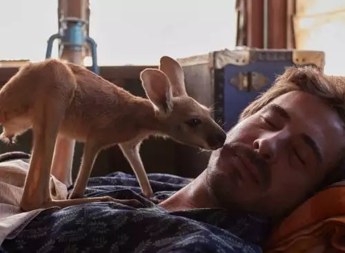 Kangaroo_134278126372780136_big-cine_deskt.webp