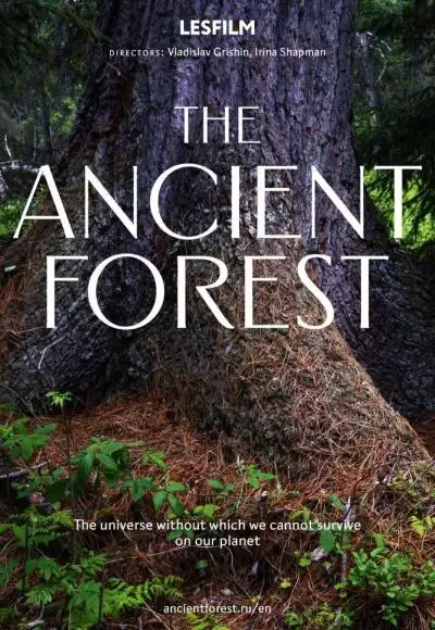 AncientForestPoster_134370658846659523_big-cine_deskt.webp