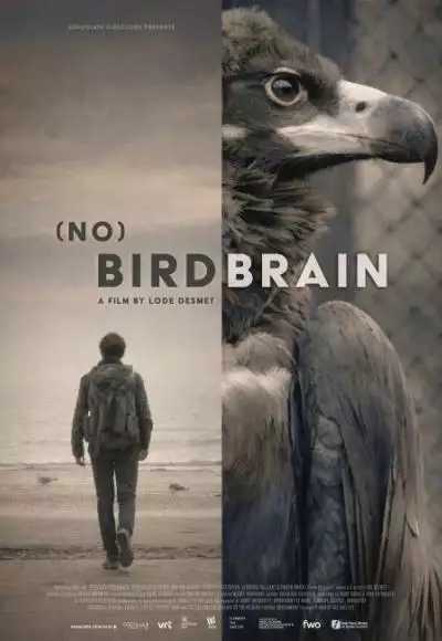 NO_BIRDBRAIN_Poster_134373378412518255_big-cine_deskt.webp