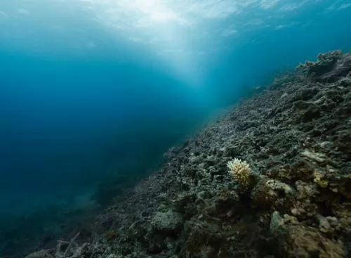 _FieldsofRubble_Fiji_134333673872236044_big-cine_deskt.webp