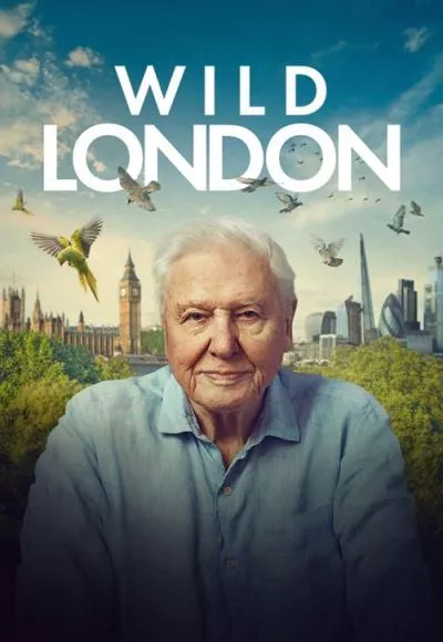 WildLondonPoster_134370595007654436_big-cine_deskt.webp