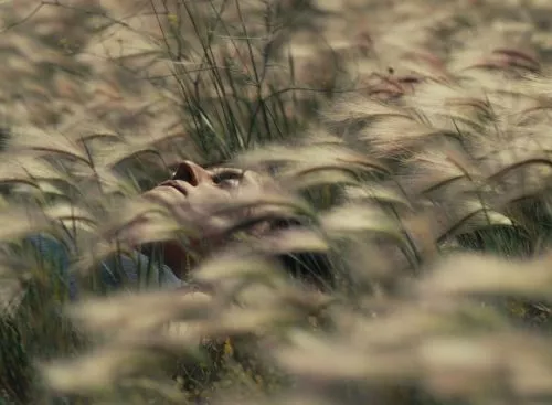 Photo1Stills_wildgemis_dc_20240830_Mez_1187_134370558084228315_big-cine_deskt.webp