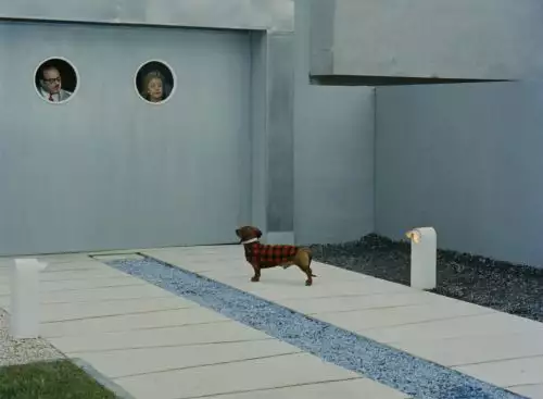 Mononcle4KRestoration_134296334720129312_big-cine_deskt.webp