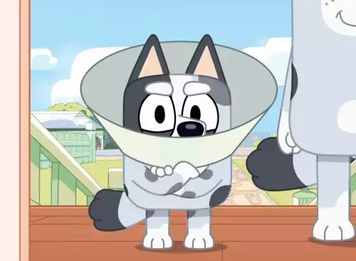 BlueyindeBiosSpelenmetjevriendjes_134205488638780409_big-cine_deskt.webp