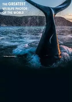 GreatestWildlifePhotosPostervWEB_133740682894181350_big-cine_deskt.webp