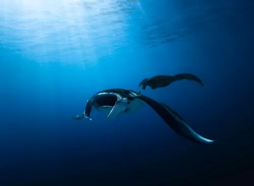 _DrawaqaPassage_Fiji_134333680014541105_big-cine_deskt.webp