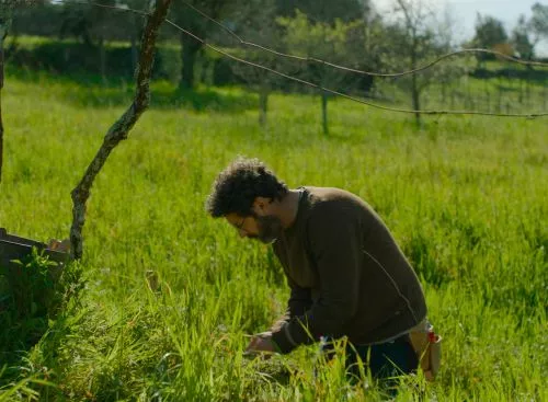 PortugueseHouseThe_134254764947242522_big-cine_deskt.webp